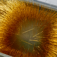 Microneedle, gold microneedle, microneedle coating, the finest custom 0.15mm